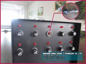 animatronic dinosaurs fuses