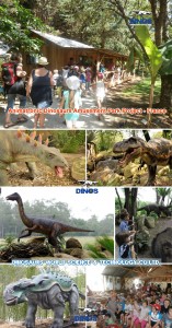 animatronic dinosaurs,dinosaur costumes,amusement park dinosaurs,amusement park attraction,amusement park decoration,robotic dinosaurs,dinosaur robotic
