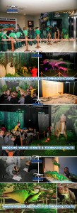 theme park attraction,dinosaurs animatronics,robotic dinosaurs,kids playground equipment,kids ride model,kids ride production,theme park attraction dinosaur,robotic dinos
