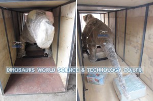 Dinosaur packing,Finished High Museum Quality Titanophoneus in factory,robotic Titanophoneus
