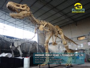 Fiberglass T-Rex Skeleton