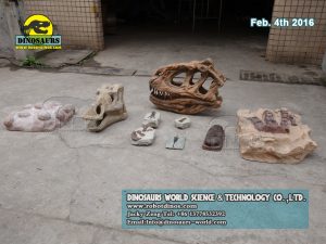 Dinosaur Models