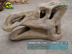 Dinosaur Fossils Replica