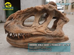 Dinosaur Fossils Replica