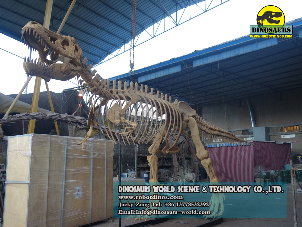 DWS016-1 T-Rex Skeleton