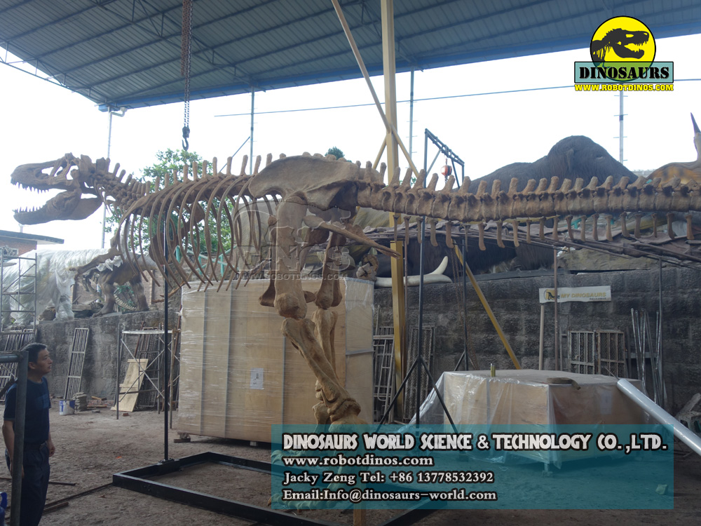 DWS016-1 dinosaur skeleton replica