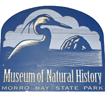 logo12