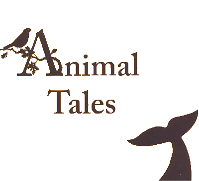 logo2