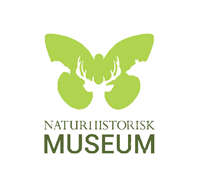 logo3