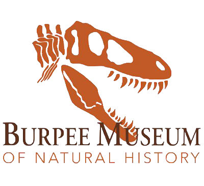 logo5