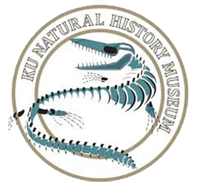 logo8