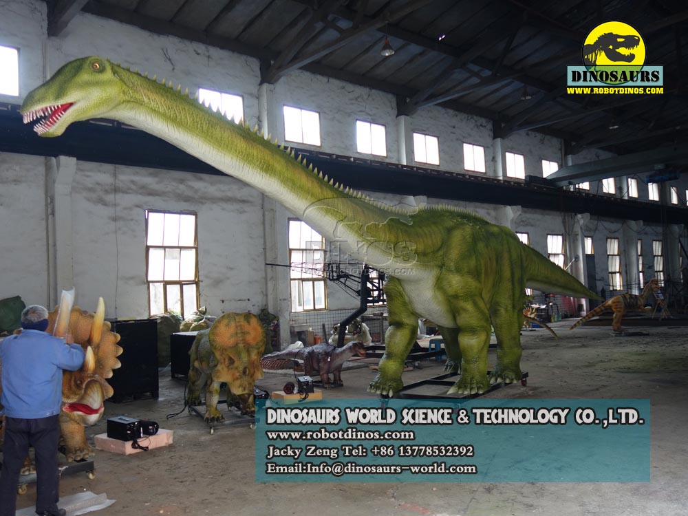 DWD1329-1-Static-Young-Diplodocus