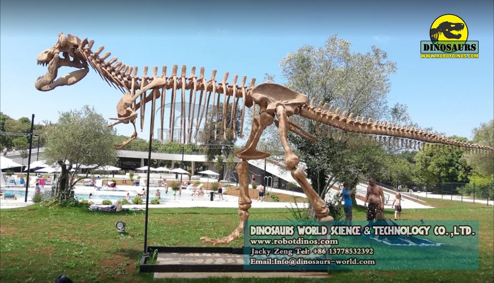dinosaur skeleton replica