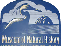 logo12