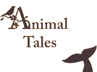 logo2