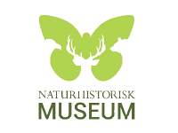 logo3