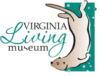 logo4