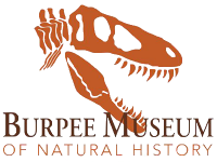 logo5