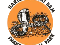 logo7