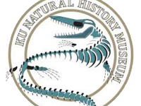 logo8